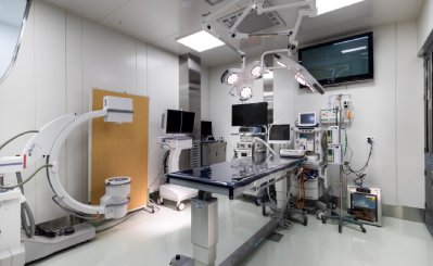 강아지 선천성 심장병 PDA 수술 후기, 인터벤션 치료 경험담 이미지