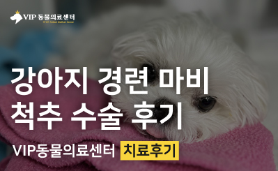 갑작스러운 전신 경련 및 사지 마비 증상, 환축추 아탈구(AAI) 응급 수술 이미지
