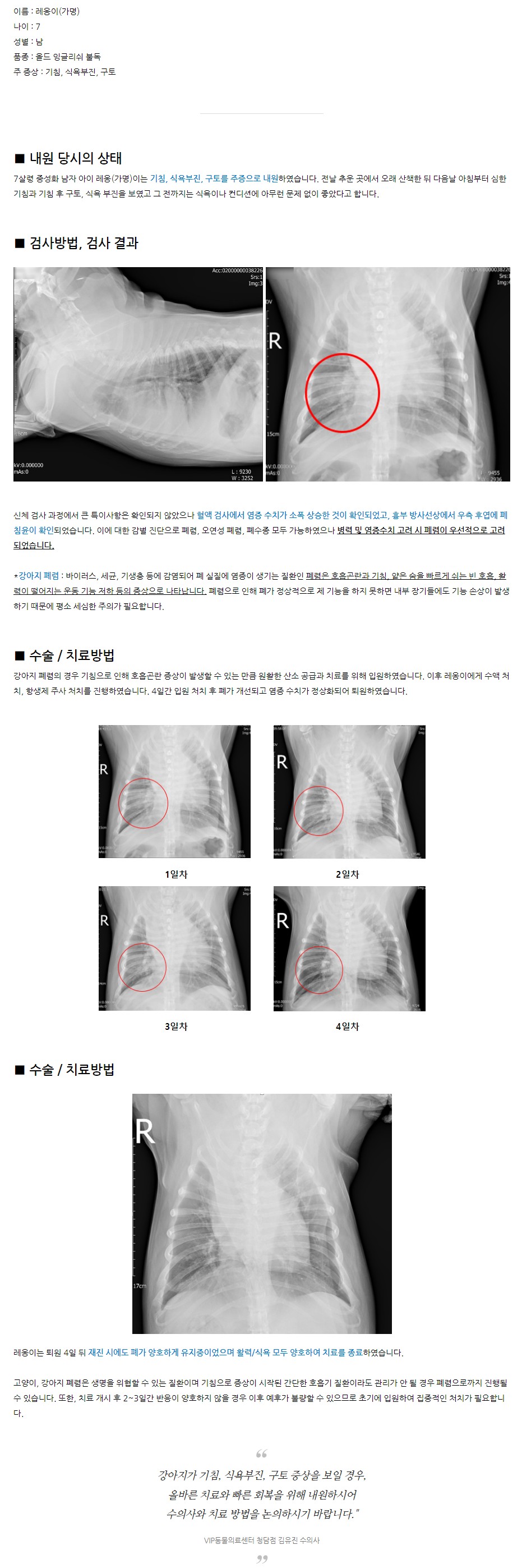 강아지 폐렴 1.JPG