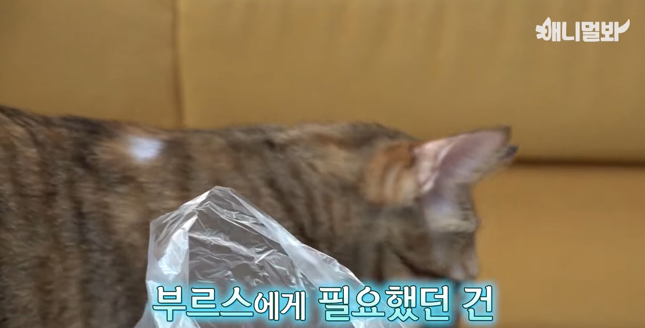 난리 브루스 10.jpg