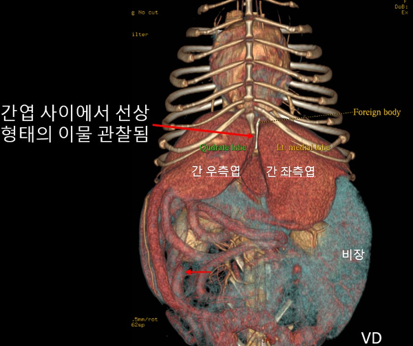 강아지 이물질 삼킴 66.jpg