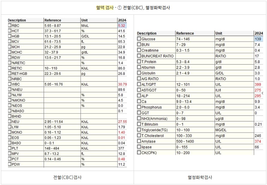 강아지 간엽 염전 1.jpg