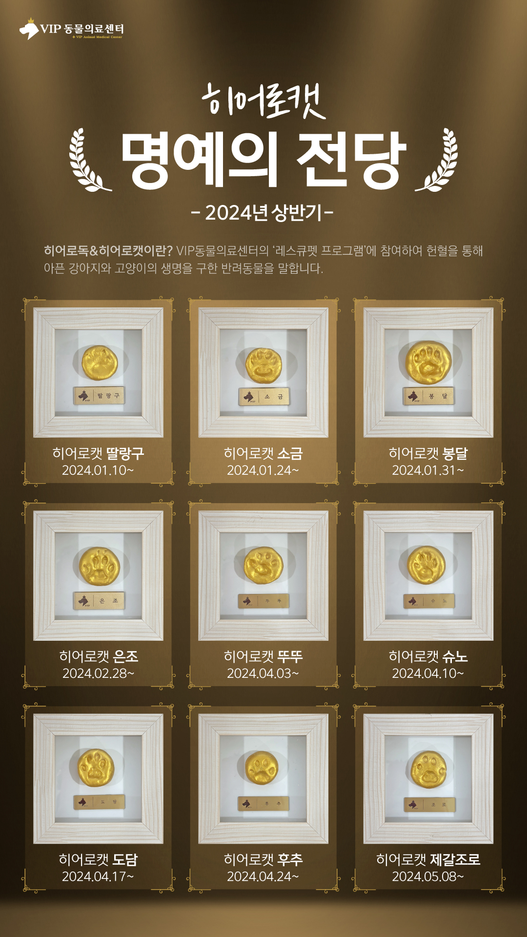 2024캣_홈페이지01.jpg
