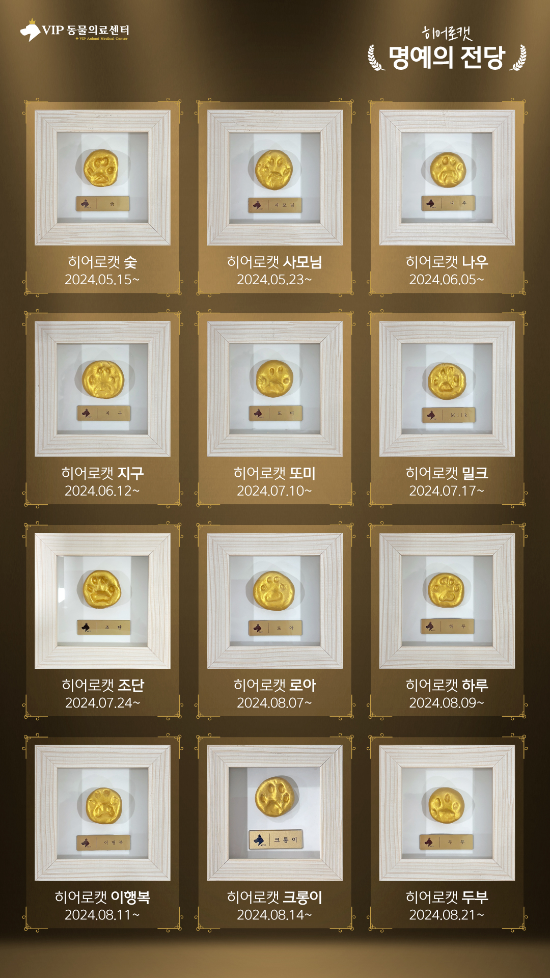 2024캣_홈페이지02.jpg