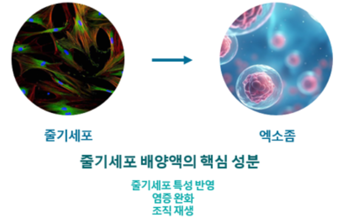 20250822_141938.png