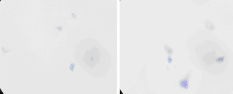 600그림9.png