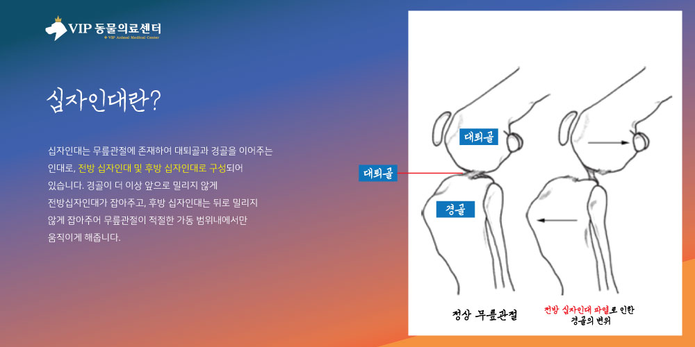 내용1.jpg