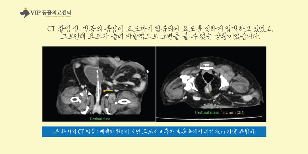 내용4.jpg