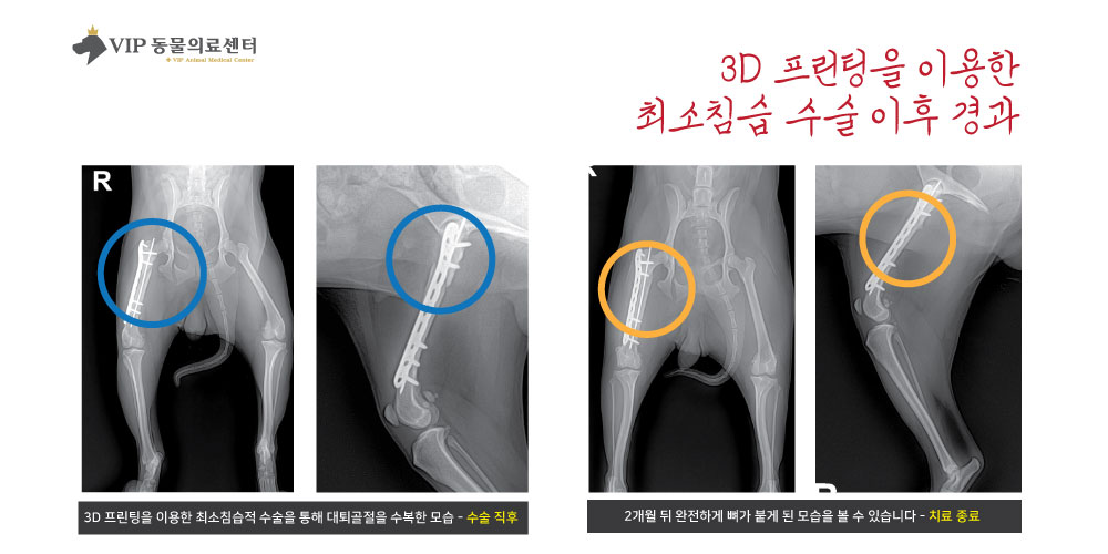 내용7.jpg