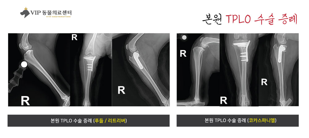 내용7.jpg