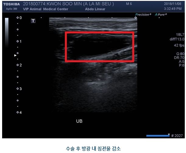 아리미스13.JPG