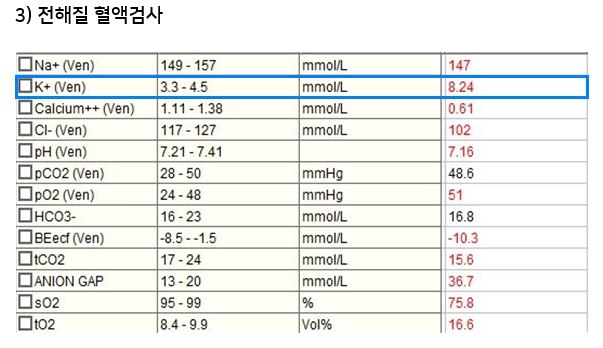 야옹이04.JPG