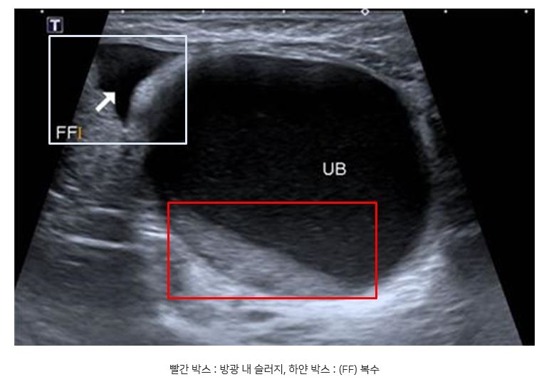 야옹이06.JPG