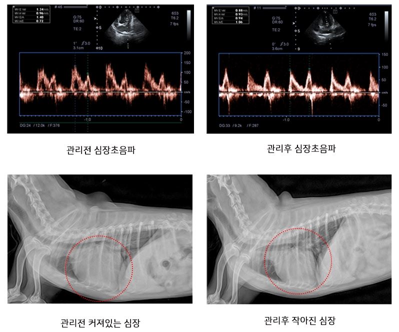 콩이04.JPG