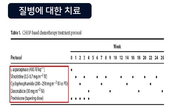 진주05.JPG