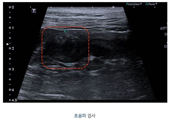 루루03.JPG