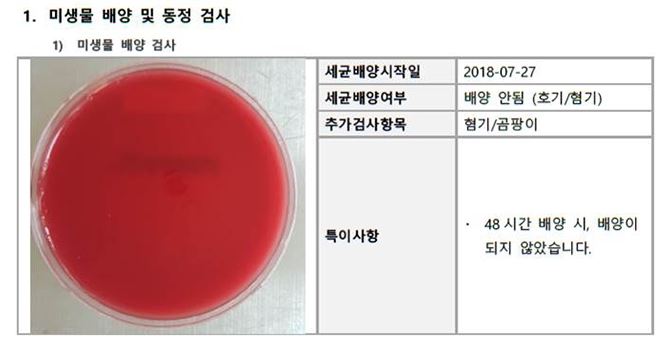 고양이비염07.JPG