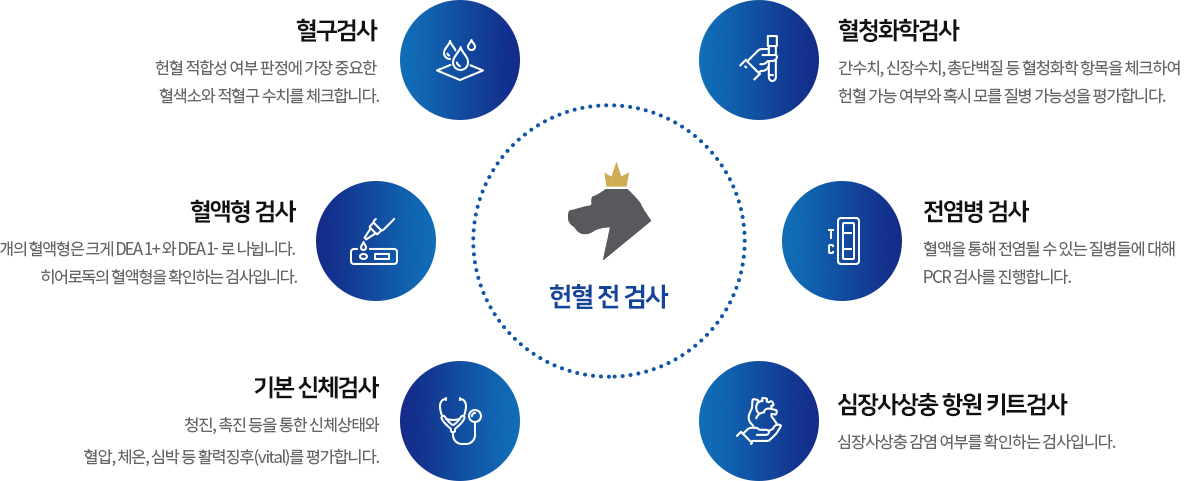 헌혈 전 검사