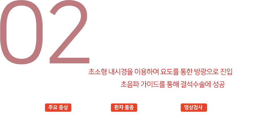 혈뇨,방광염 적용증례